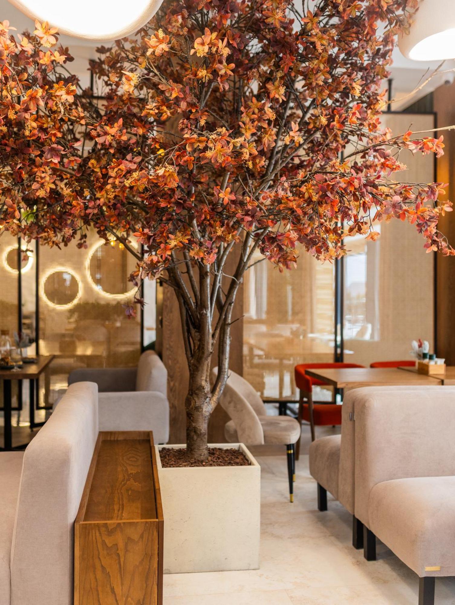 Elena Spa Resort 부코벨 외부 사진